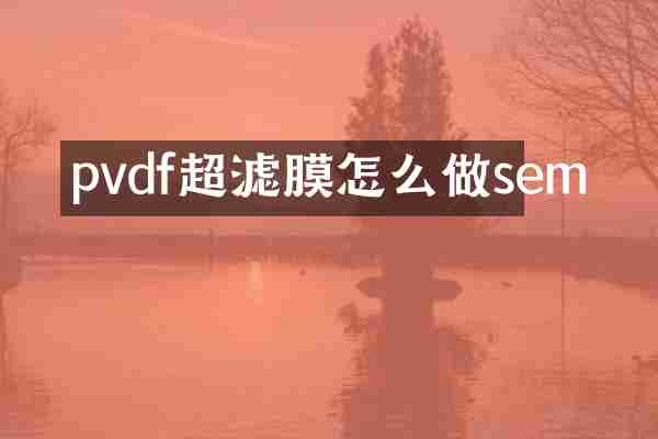 pvdf超滤膜怎么做sem
