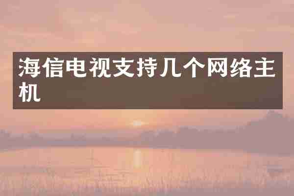 海信电视支持几个网络主机