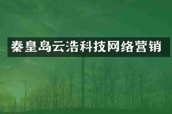 秦皇岛云浩科技网络营销