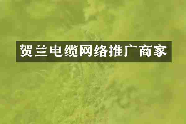 贺兰电缆网络推广商家