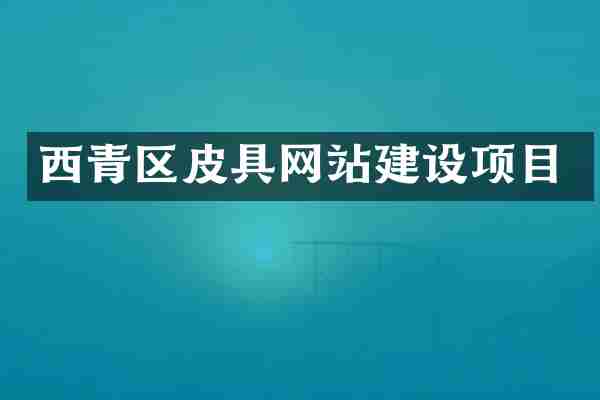 西青区皮具网站建设项目
