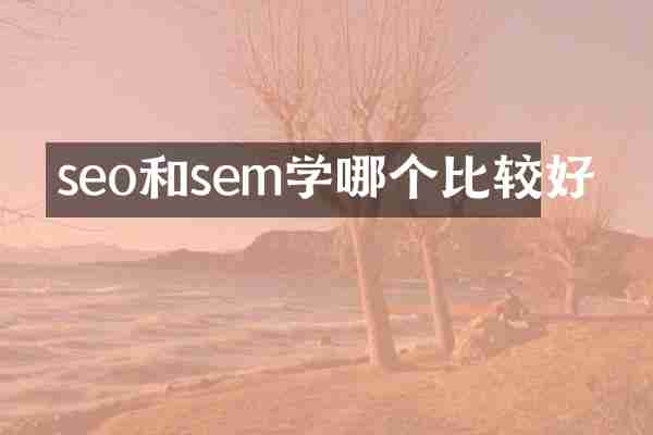seo和sem学哪个比较好