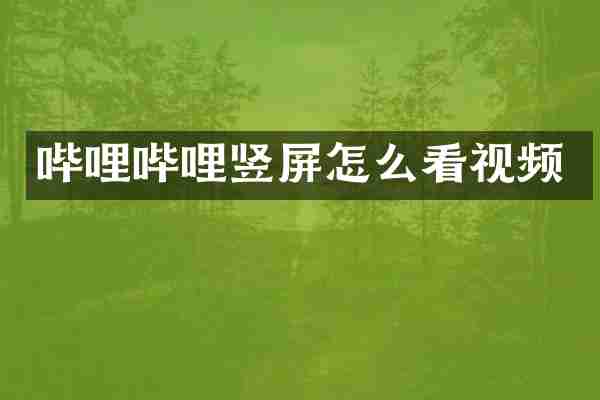 哔哩哔哩竖屏怎么看视频