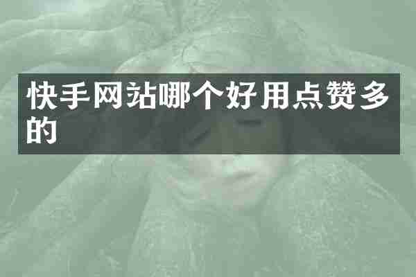 快手网站哪个好用点赞多的