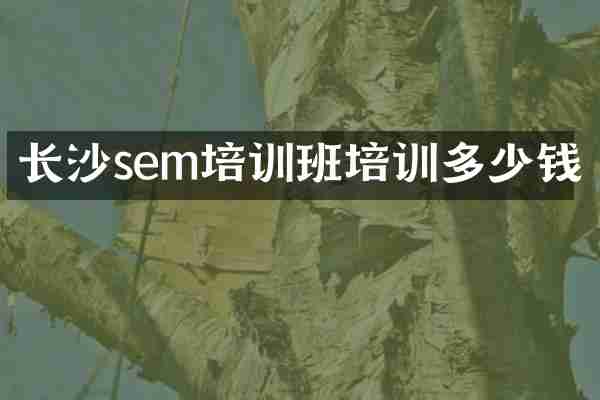 长沙sem培训班培训多少钱