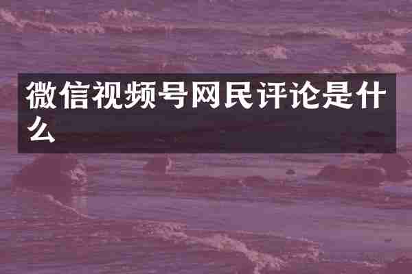微信视频号网民评论是什么