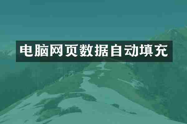 电脑网页数据自动填充