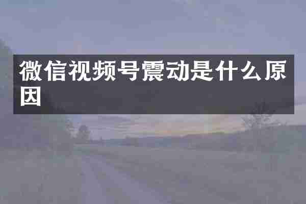 微信视频号震动是什么原因