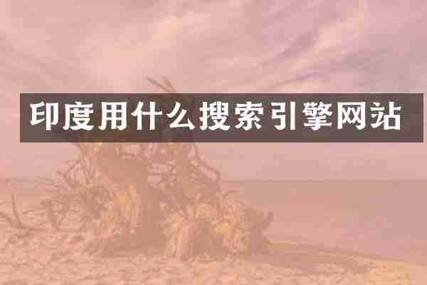 印度用什么搜索引擎网站