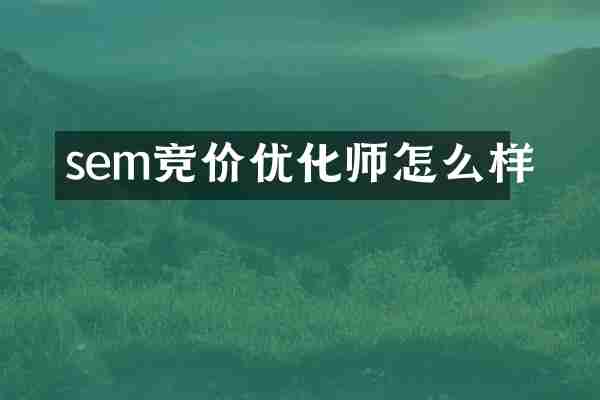 sem竞价优化师怎么样
