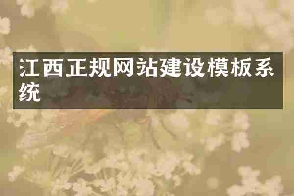 江西正规网站建设模板系统