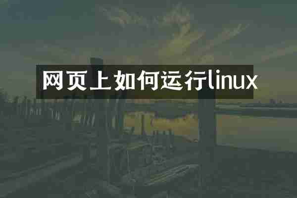 网页上如何运行linux
