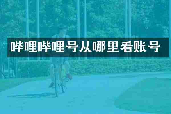 哔哩哔哩号从哪里看账号