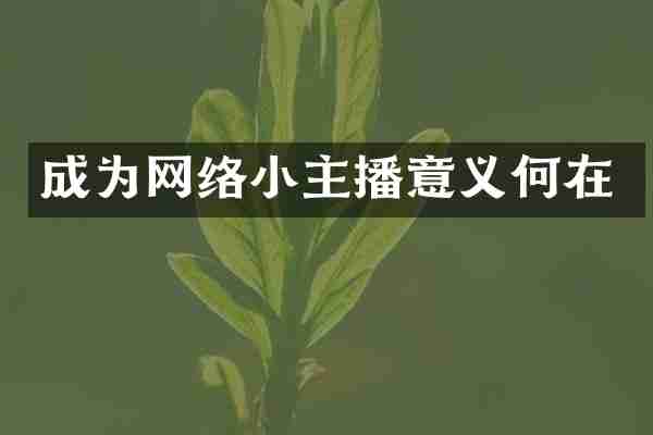成为网络小主播意义何在