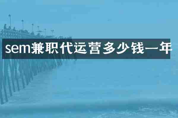 sem兼职代运营多少钱一年
