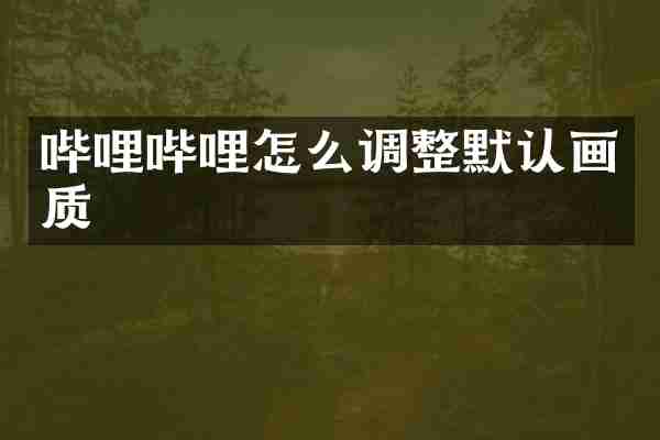 哔哩哔哩怎么调整默认画质