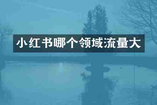 小红书哪个领域流量大