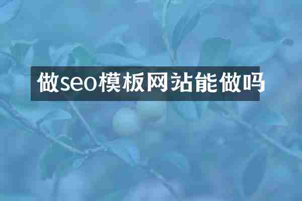 做seo模板网站能做吗
