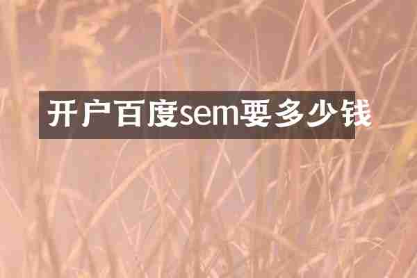 开户百度sem要多少钱