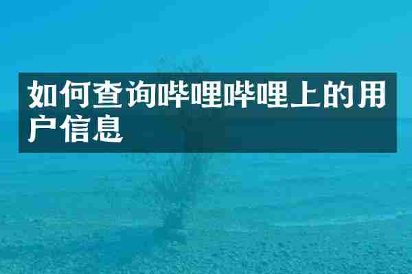 如何查询哔哩哔哩上的用户信息