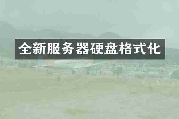 全新服务器硬盘格式化