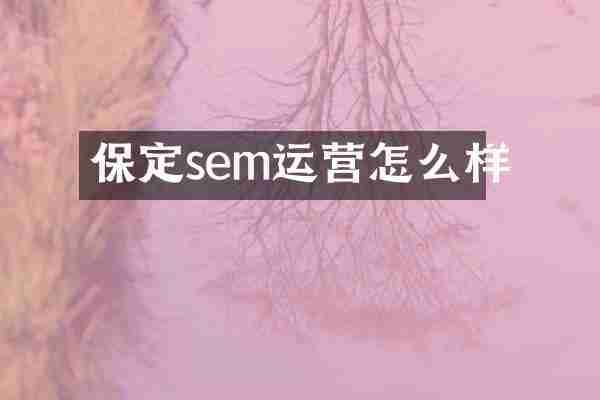 保定sem运营怎么样