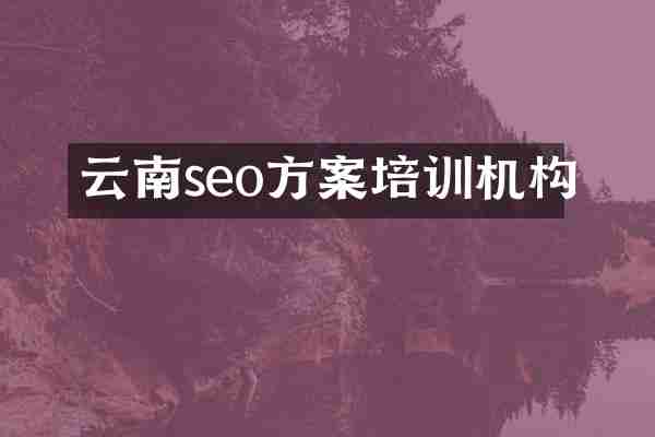 云南seo方案培训机构