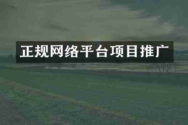 正规网络平台项目推广