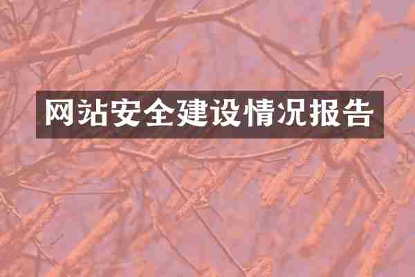 网站安全建设情况报告
