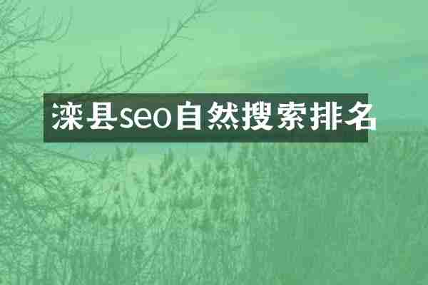 滦县seo自然搜索排名