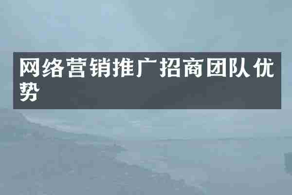 网络营销推广招商团队优势