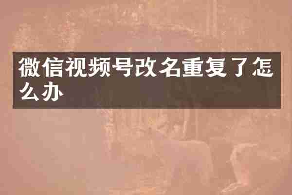 微信视频号改名重复了怎么办