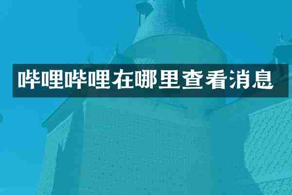 哔哩哔哩在哪里查看消息
