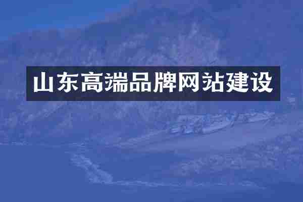 山东高端品牌网站建设