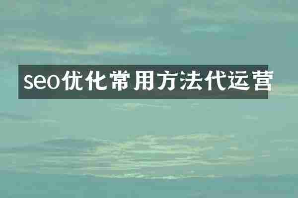 seo优化常用方法代运营