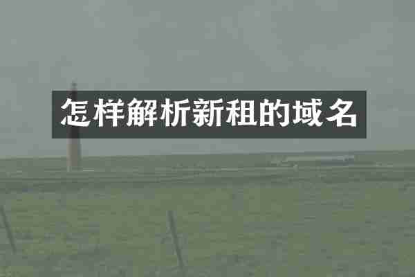 怎样解析新租的域名