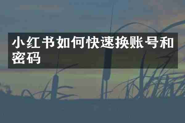 小红书如何快速换账号和密码