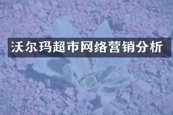 沃尔玛超市网络营销分析