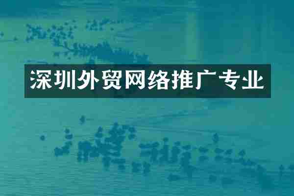 深圳外贸网络推广专业