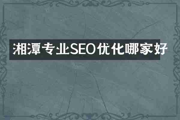 湘潭专业SEO优化哪家好