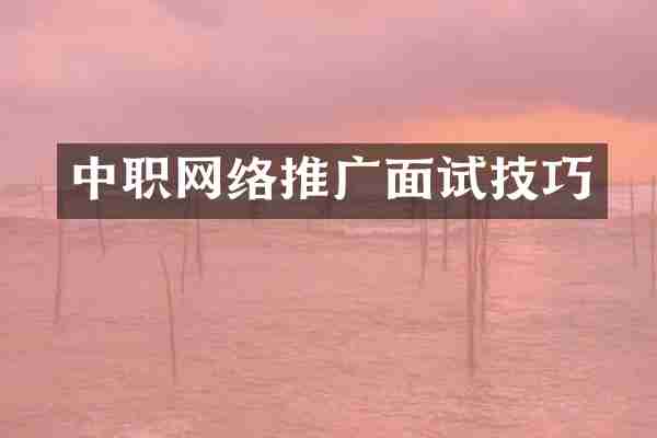 中职网络推广面试技巧