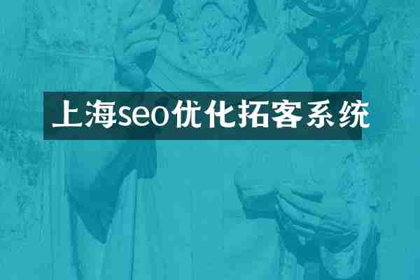 上海seo优化拓客系统