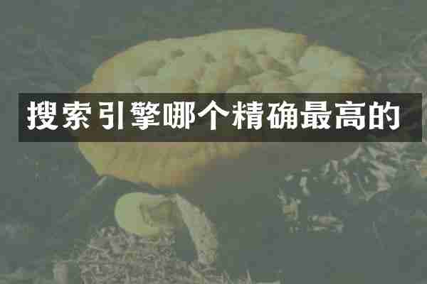 搜索引擎哪个精确最高的