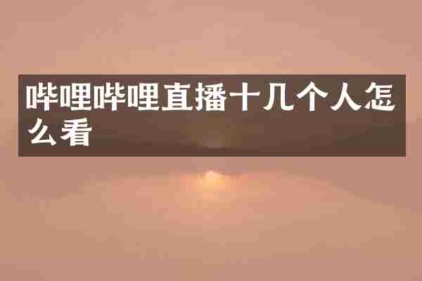 哔哩哔哩直播十几个人怎么看