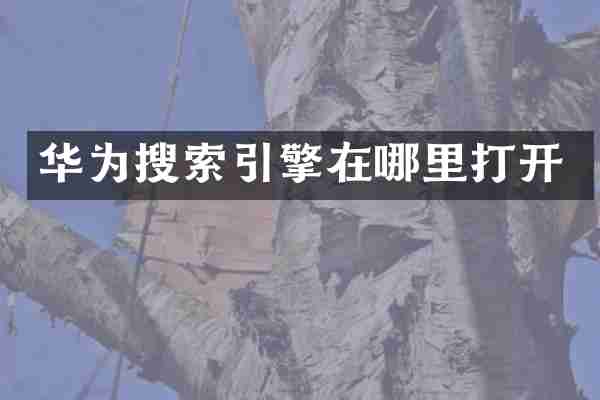 华为搜索引擎在哪里打开