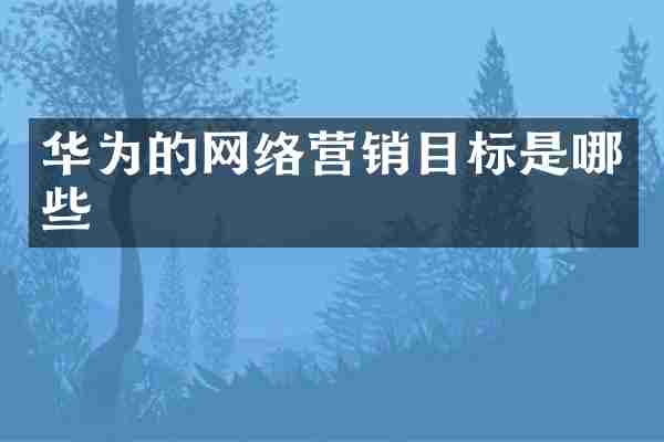 华为的网络营销目标是哪些
