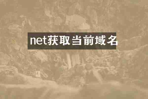 net获取当前域名