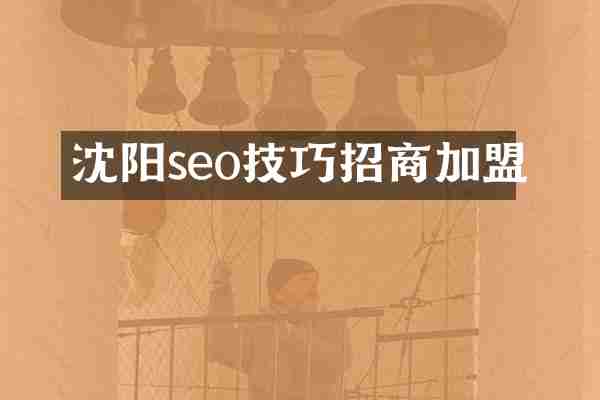 沈阳seo技巧招商加盟