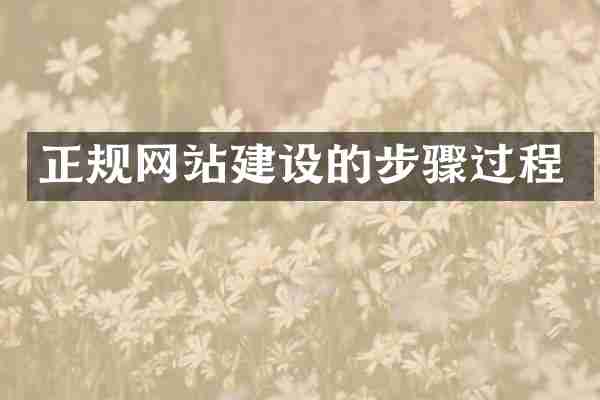 正规网站建设的步骤过程