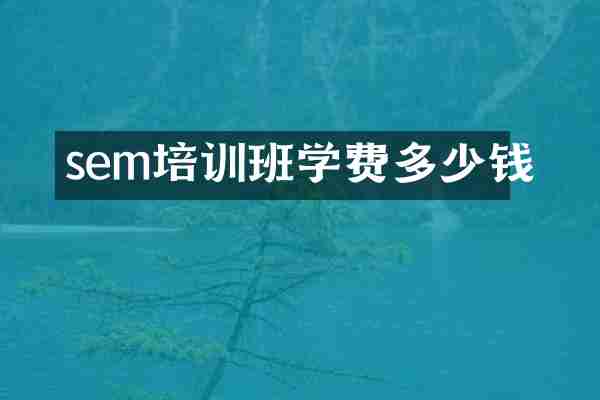 sem培训班学费多少钱
